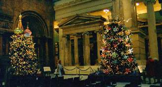 Trees in the Carnegie Museum