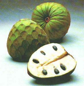 cherimoya