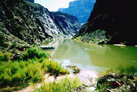 boats docked at Separation Canyon