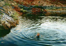 tippi swimming